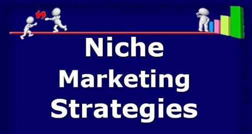 15 Effective Niche Marketing Strategies.