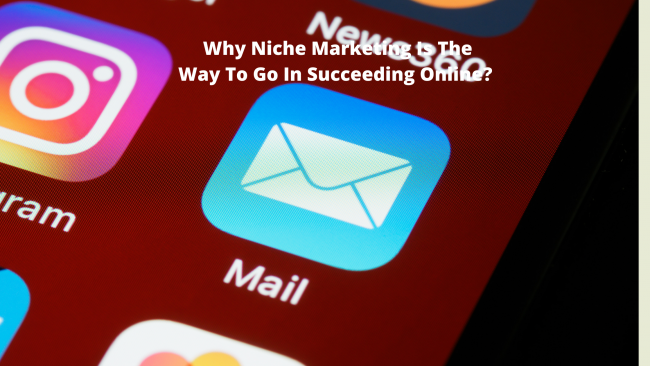 Why Niche Marketing Is The Way To Go In Succeeding Online