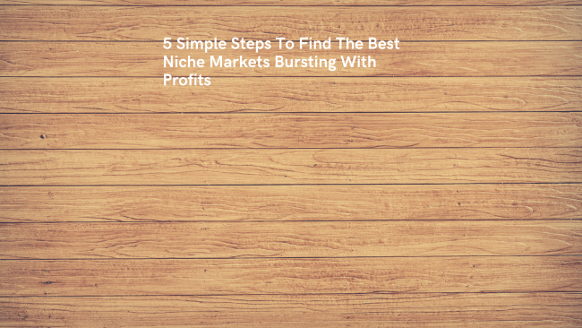 5 Simple Steps To Find The Best Niche Markets Bursting With Profits (1)