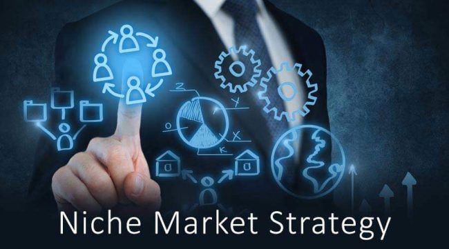Niche-Market-Strategy Niche Marketing Success
